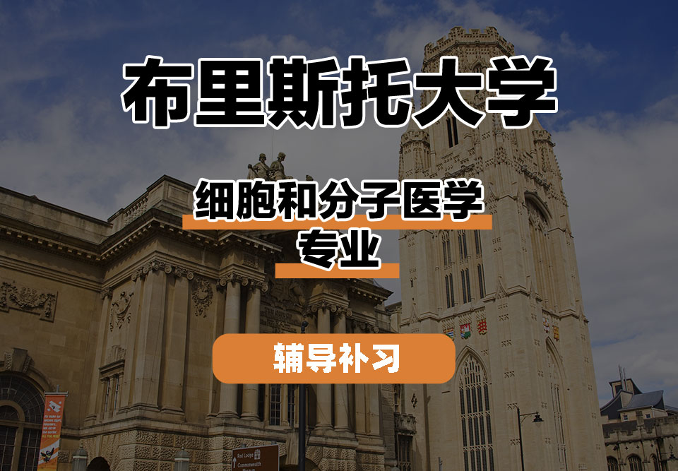 布里斯托大学Bristol布大细胞和分子医学辅导补习补课