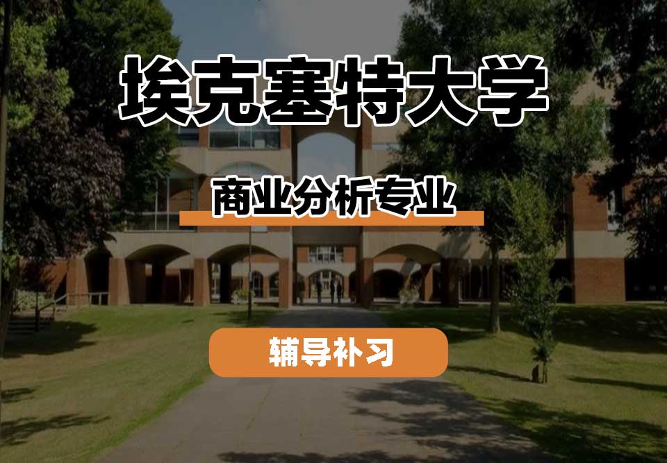 埃克塞特大学EXON埃大商业分析辅导补习补课