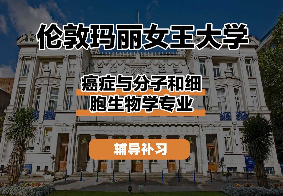 伦敦玛丽女王大学QM女王大学癌症与分子和细胞生物学辅导补习补课