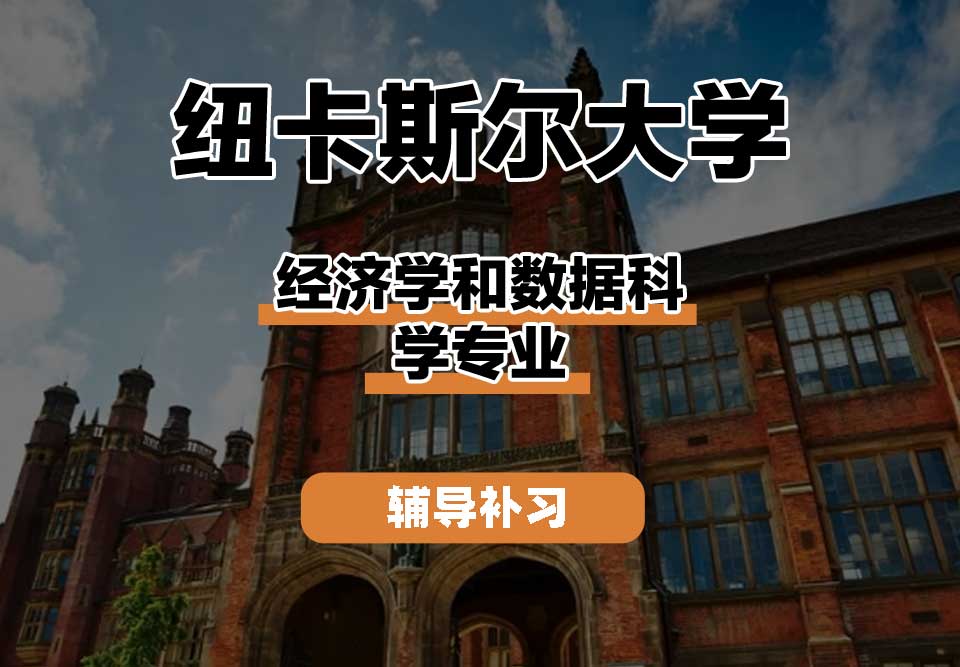 纽卡斯尔大学NCL纽大经济学和数据科学辅导补习补课