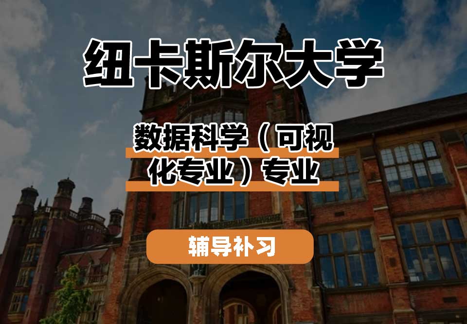 纽卡斯尔大学NCL纽大数据科学（可视化专业）辅导补习补课