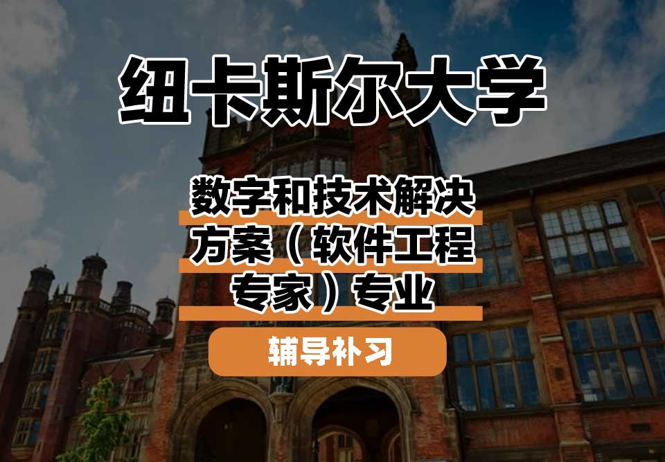 纽卡斯尔大学NCL纽大数字和技术解决方案（软件工程专家）辅导补习补课