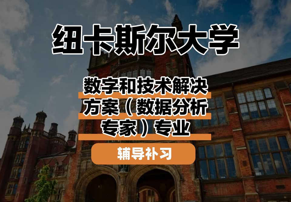 纽卡斯尔大学NCL纽大数字和技术解决方案（数据分析专家）辅导补习补课