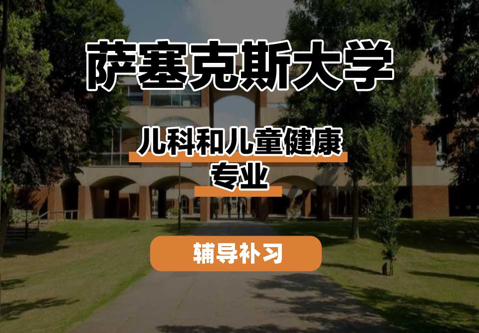 萨塞克斯大学Sussex萨大儿科和儿童健康辅导补习补课