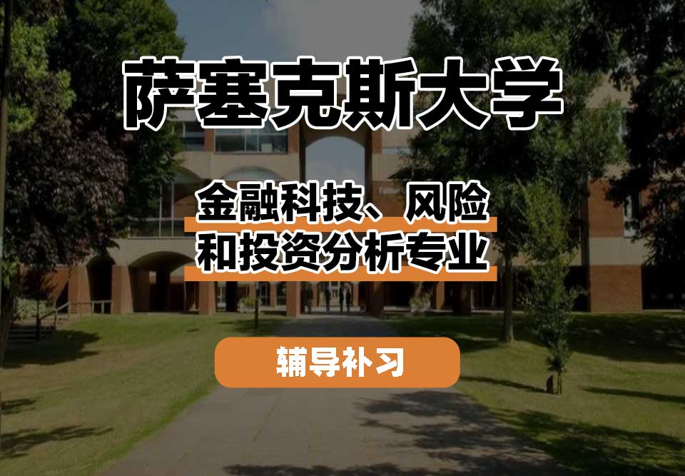萨塞克斯大学Sussex萨大金融科技、风险和投资分析辅导补习补课