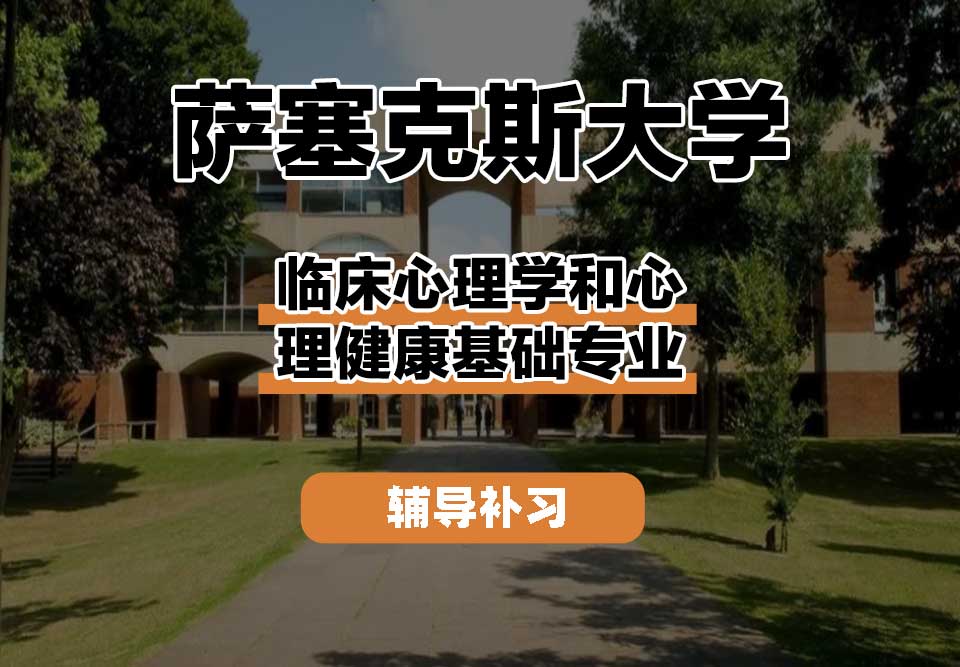 萨塞克斯大学Sussex萨大临床心理学和心理健康基础辅导补习补课