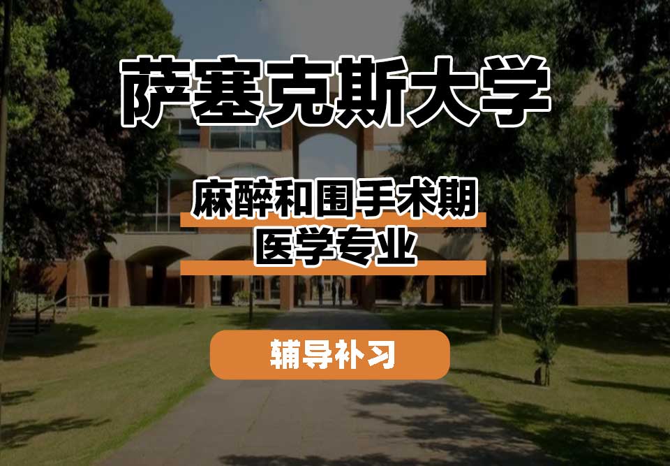 萨塞克斯大学Sussex萨大麻醉和围手术期医学辅导补习补课
