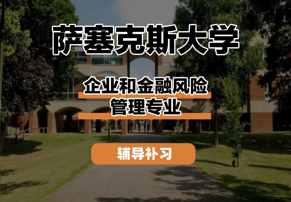 萨塞克斯大学Sussex萨大企业和金融风险管理辅导补习补课