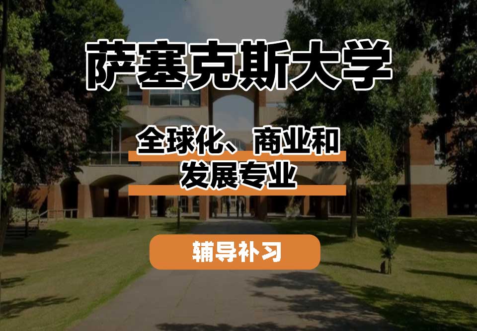 萨塞克斯大学Sussex萨大全球化、商业和发展辅导补习补课