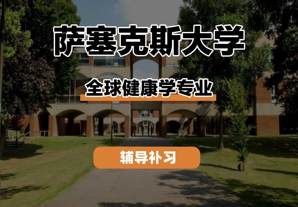 萨塞克斯大学Sussex萨大全球健康学辅导补习补课