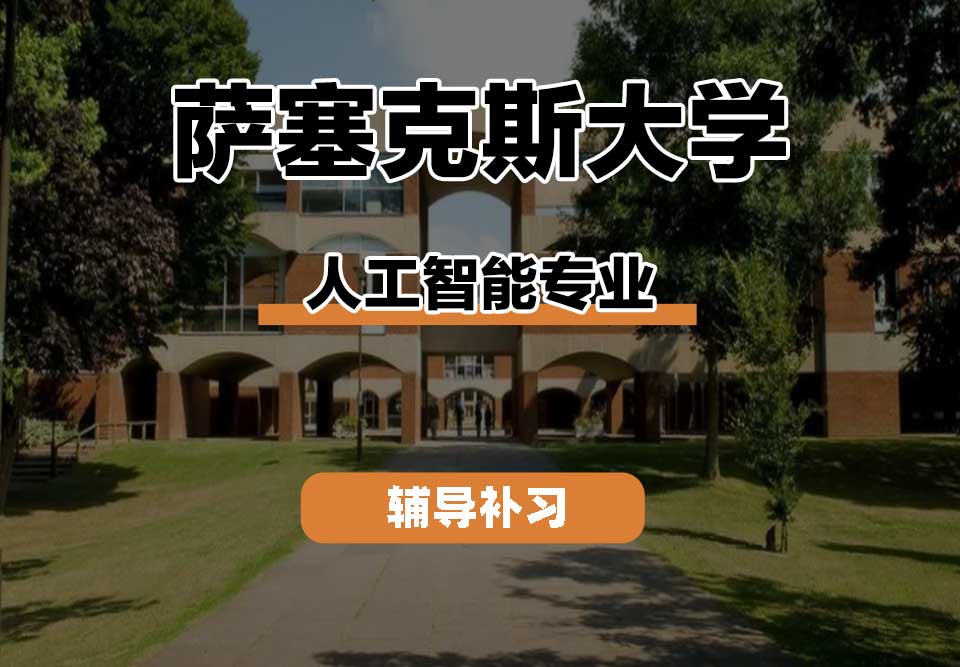 萨塞克斯大学Sussex萨大人工智能辅导补习补课