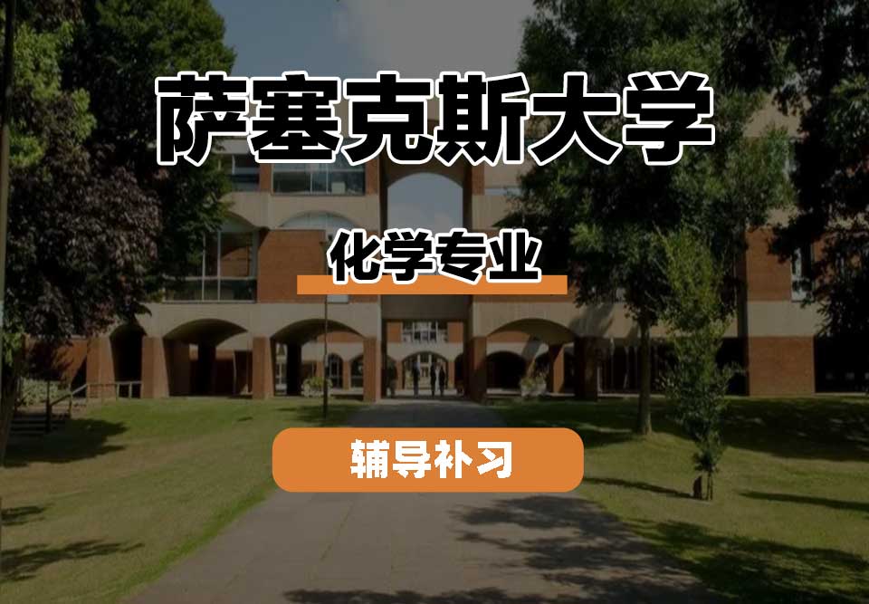 萨塞克斯大学Sussex萨大化学专业辅导补习补课