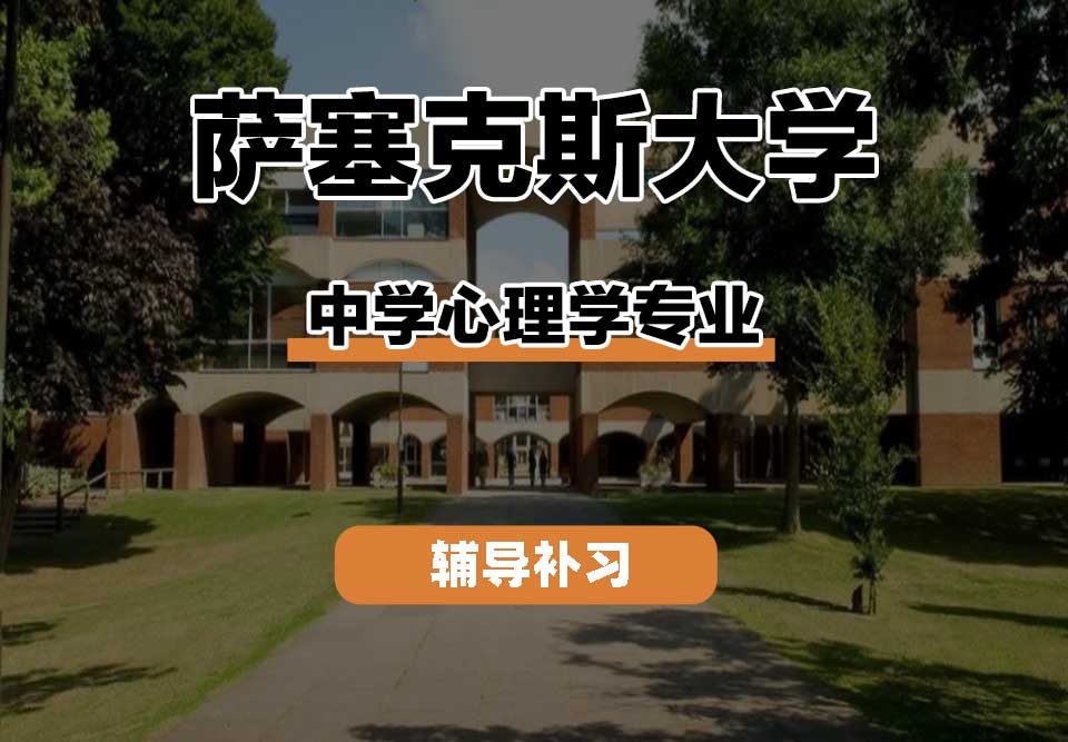萨塞克斯大学Sussex萨大中学心理学辅导补习补课