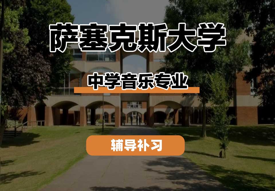 萨塞克斯大学Sussex萨大中学音乐辅导补习补课
