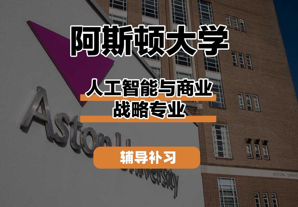 阿斯顿大学Aston人工智能与商业战略辅导补习补课