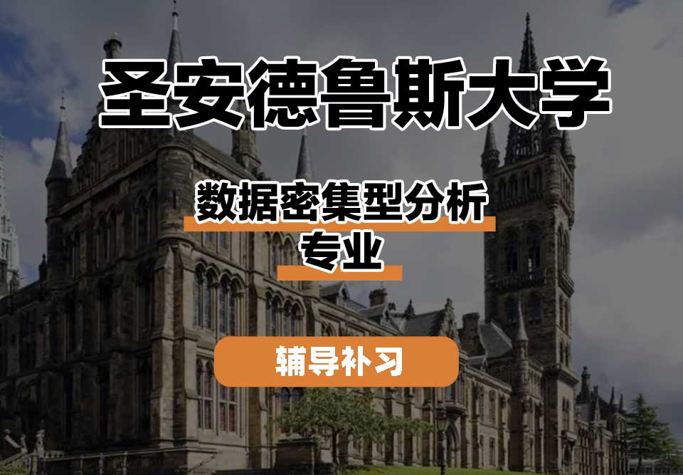 圣安德鲁斯大学StAndrews圣安数据密集型分析辅导补习补课