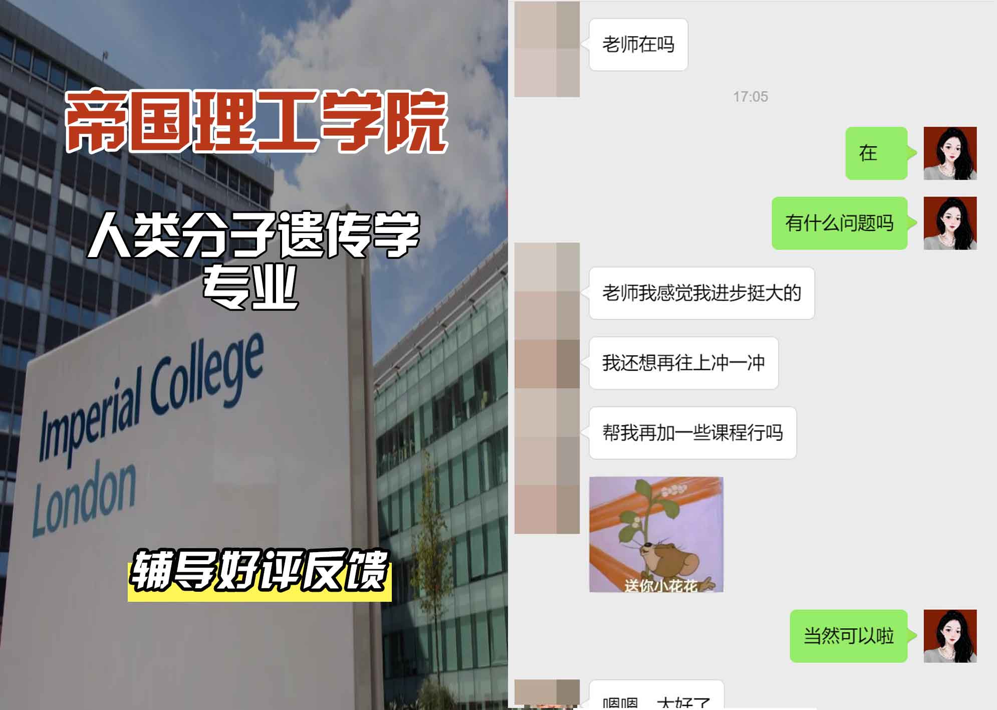 帝国理工IC人类分子遗传学辅导好评反馈