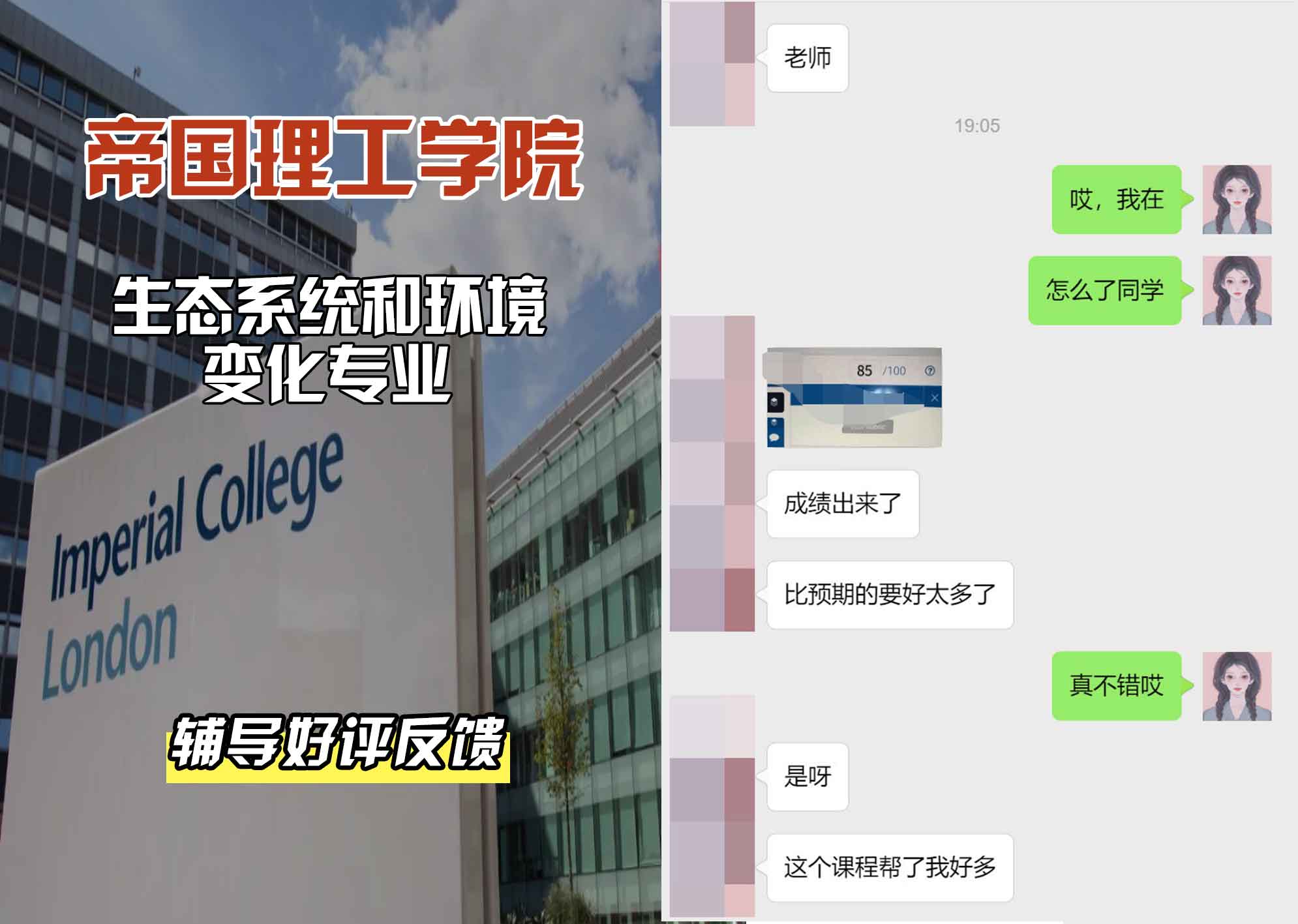 帝国理工IC生态系统和环境变化辅导好评反馈