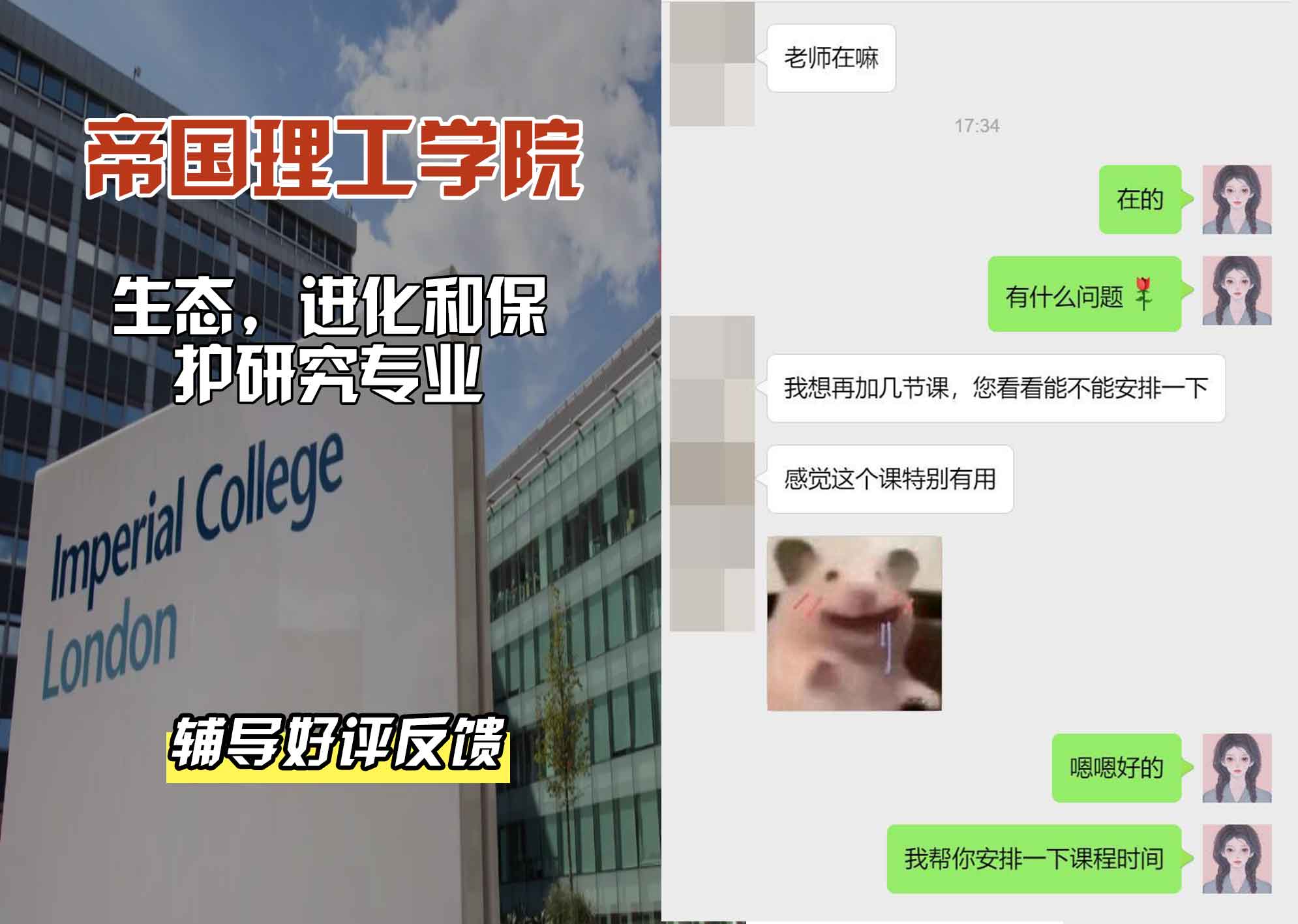 帝国理工IC生态学、进化和保护研究辅导好评反馈