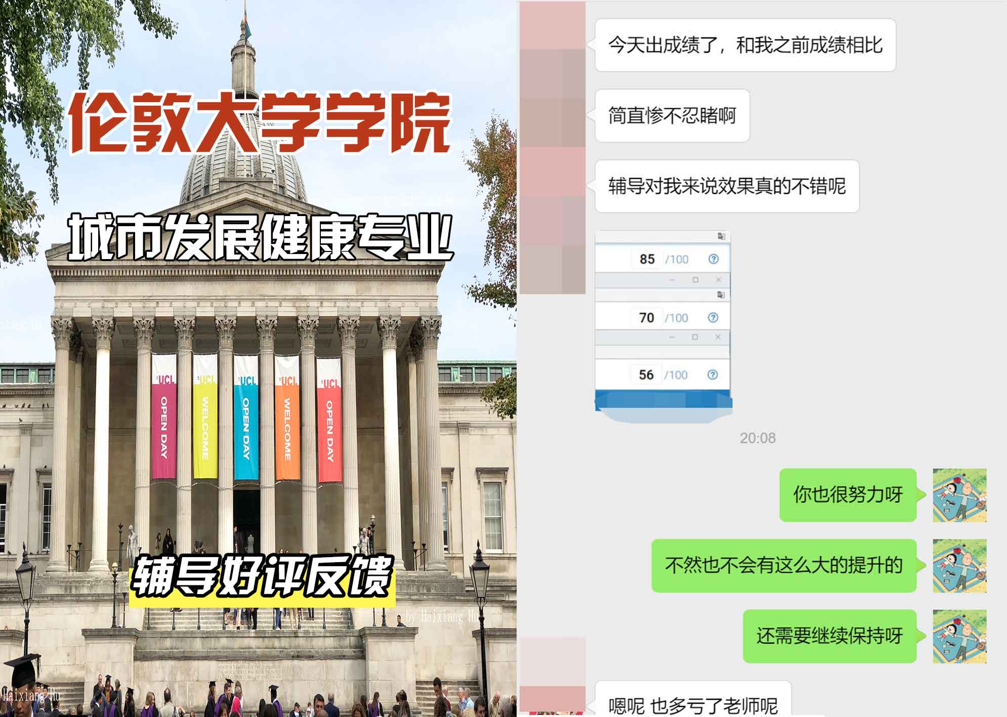 伦敦大学学院UCL城市发展健康辅导好评反馈