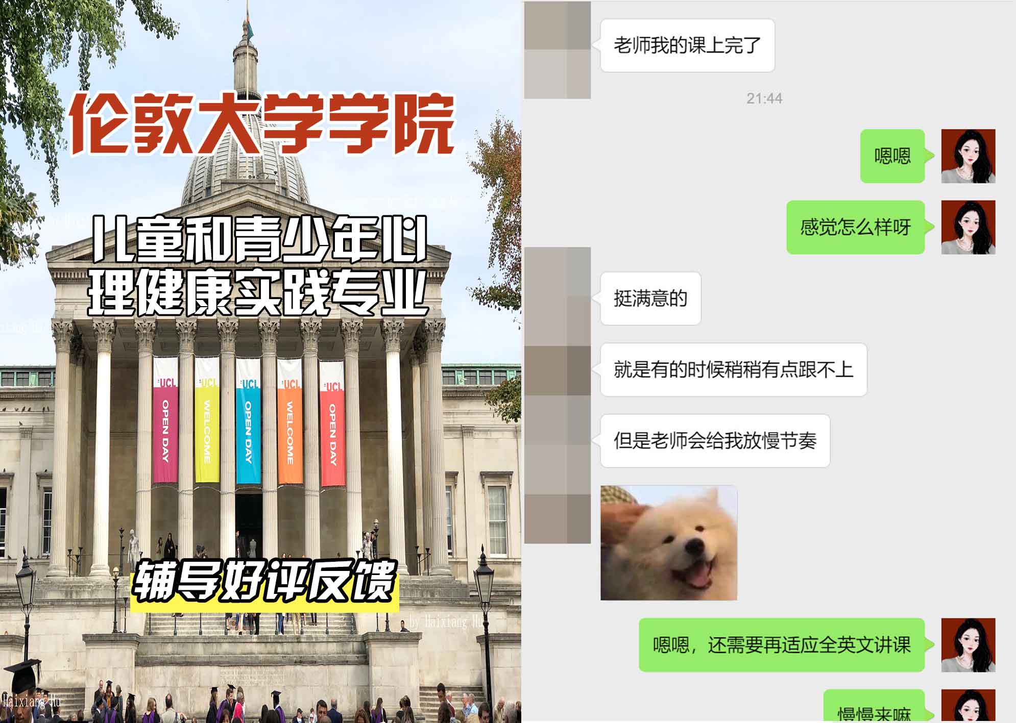 伦敦大学学院UCL儿童和青少年心理健康实践辅导好评反馈