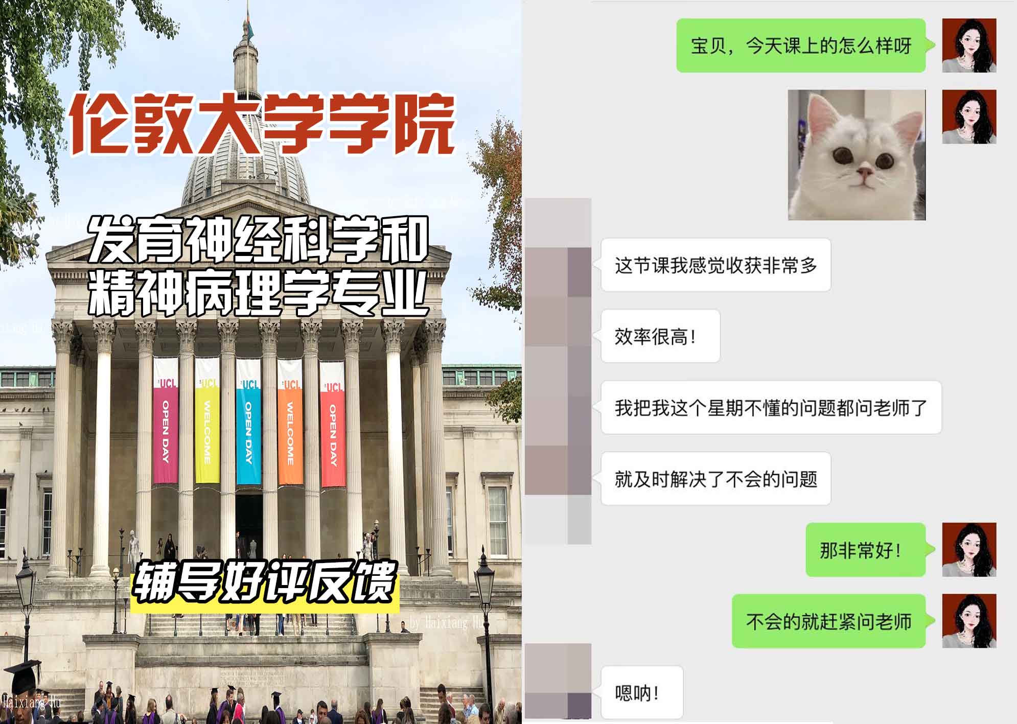 伦敦大学学院UCL发育神经科学和精神病理学辅导好评反馈