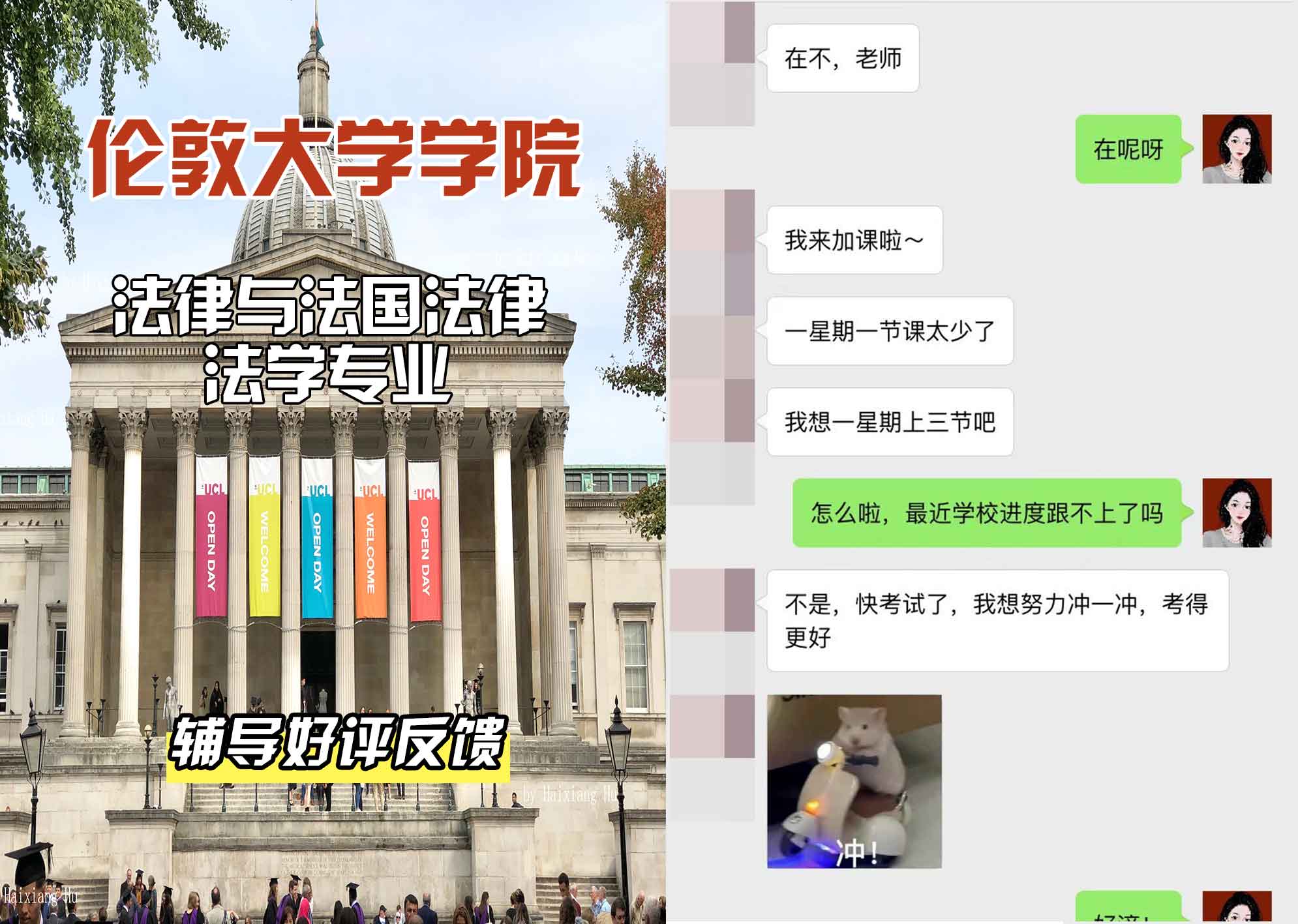 伦敦大学学院UCL法律与法国法律法学辅导好评反馈