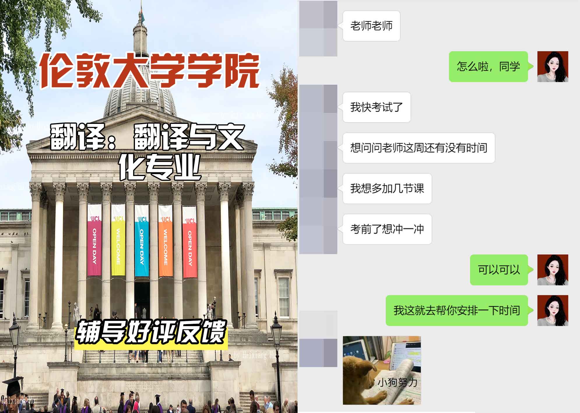 伦敦大学学院UCL翻译：翻译与文化辅导好评反馈