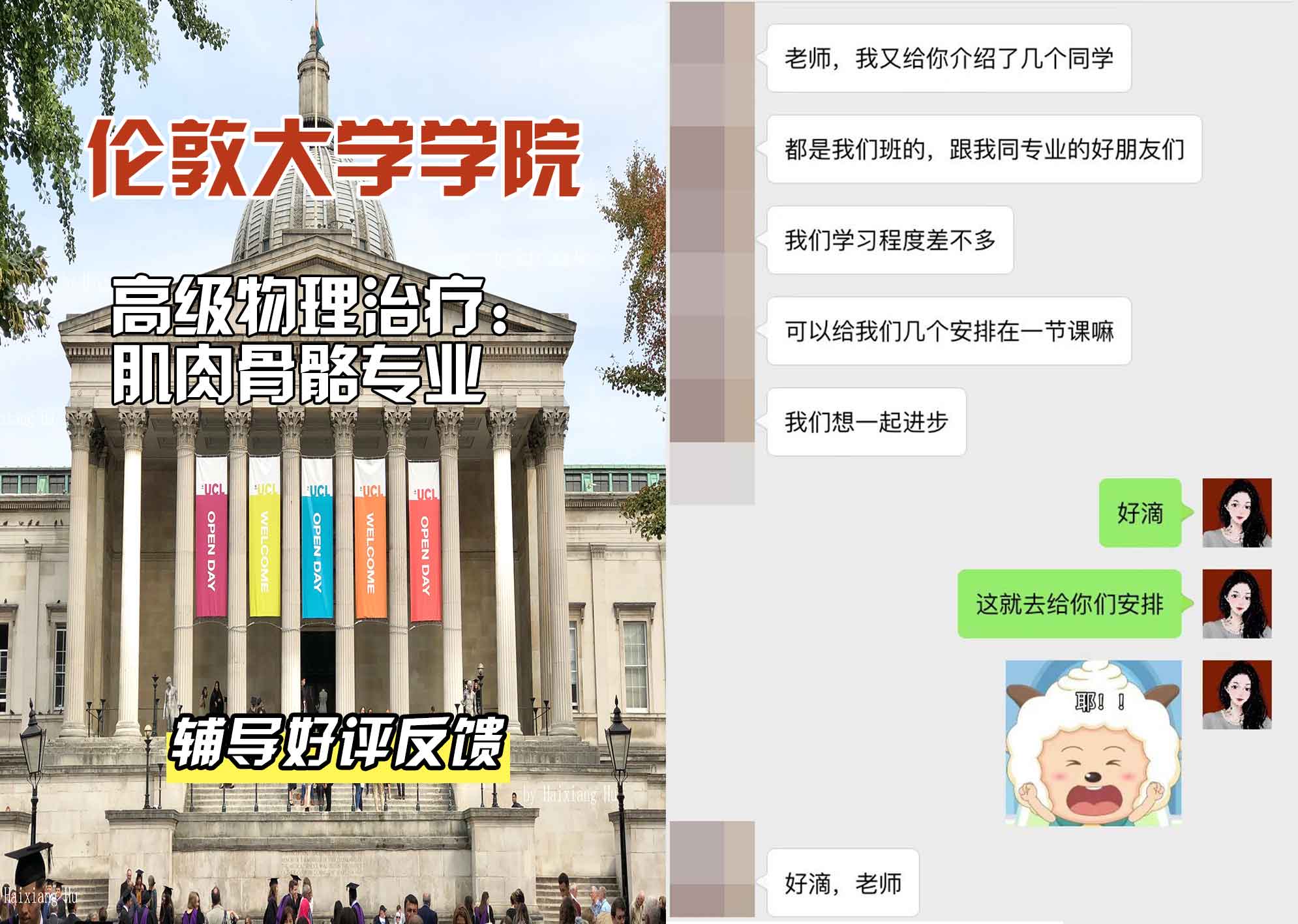 伦敦大学学院UCL高级物理治疗：肌肉骨骼辅导好评反馈