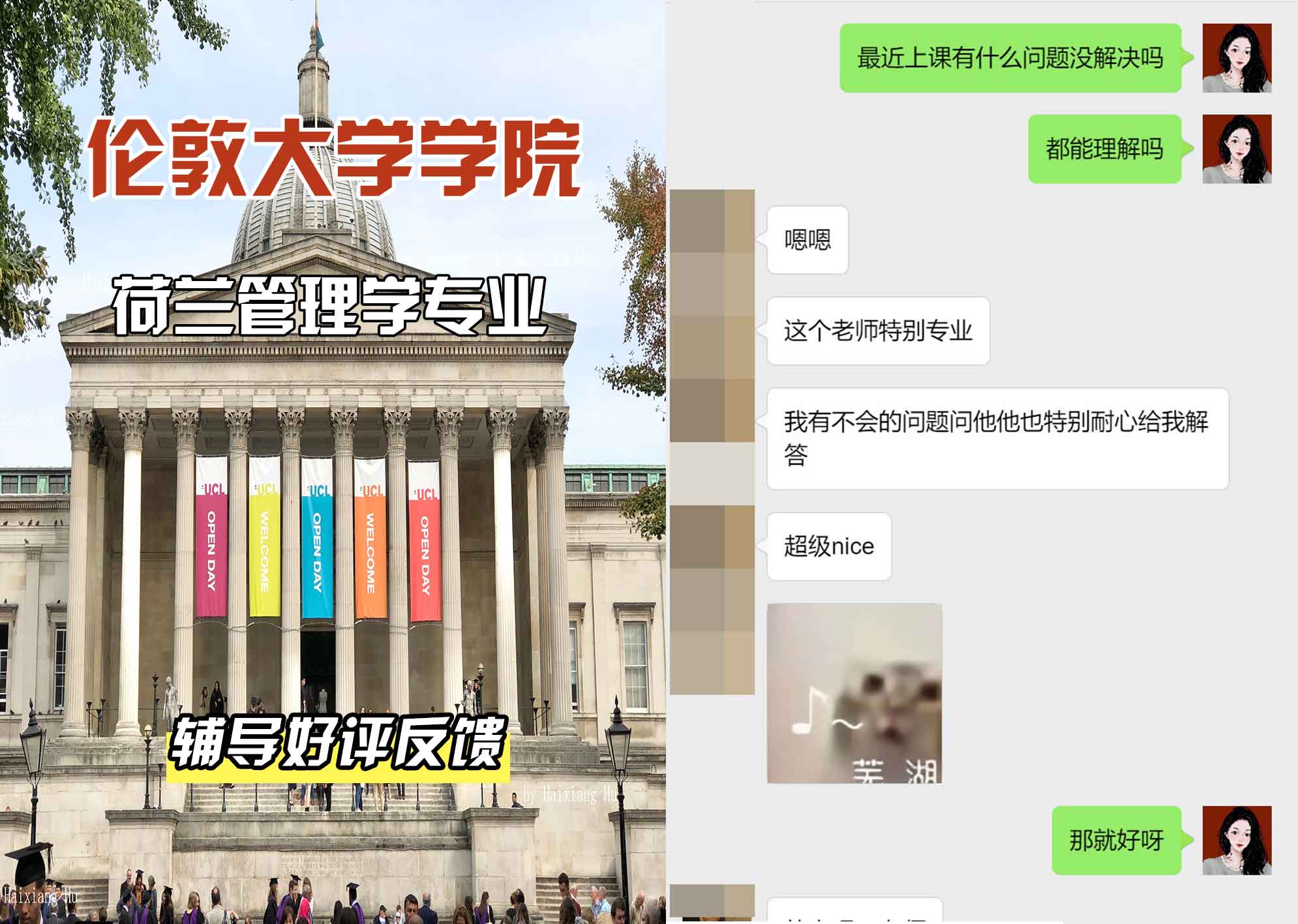 伦敦大学学院UCL荷兰管理学辅导好评反馈