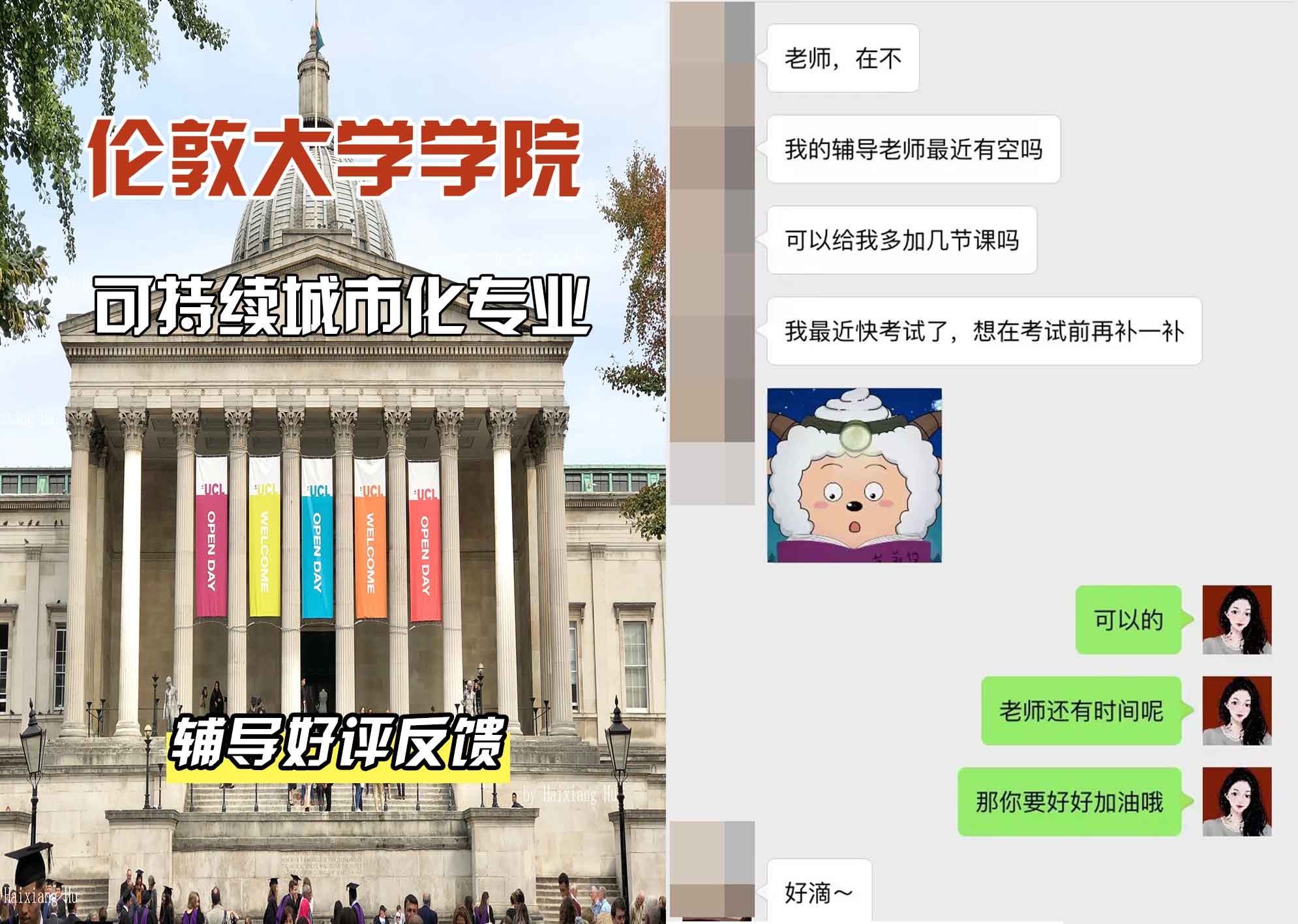 伦敦大学学院UCL可持续城市化辅导好评反馈