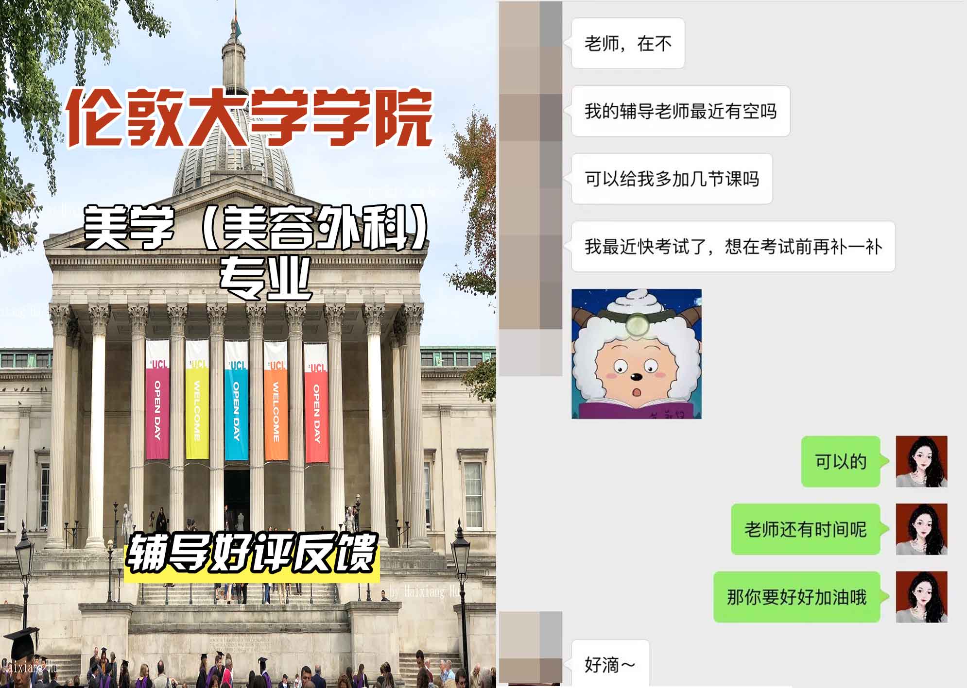 伦敦大学学院UCL美学（美容外科）辅导好评反馈