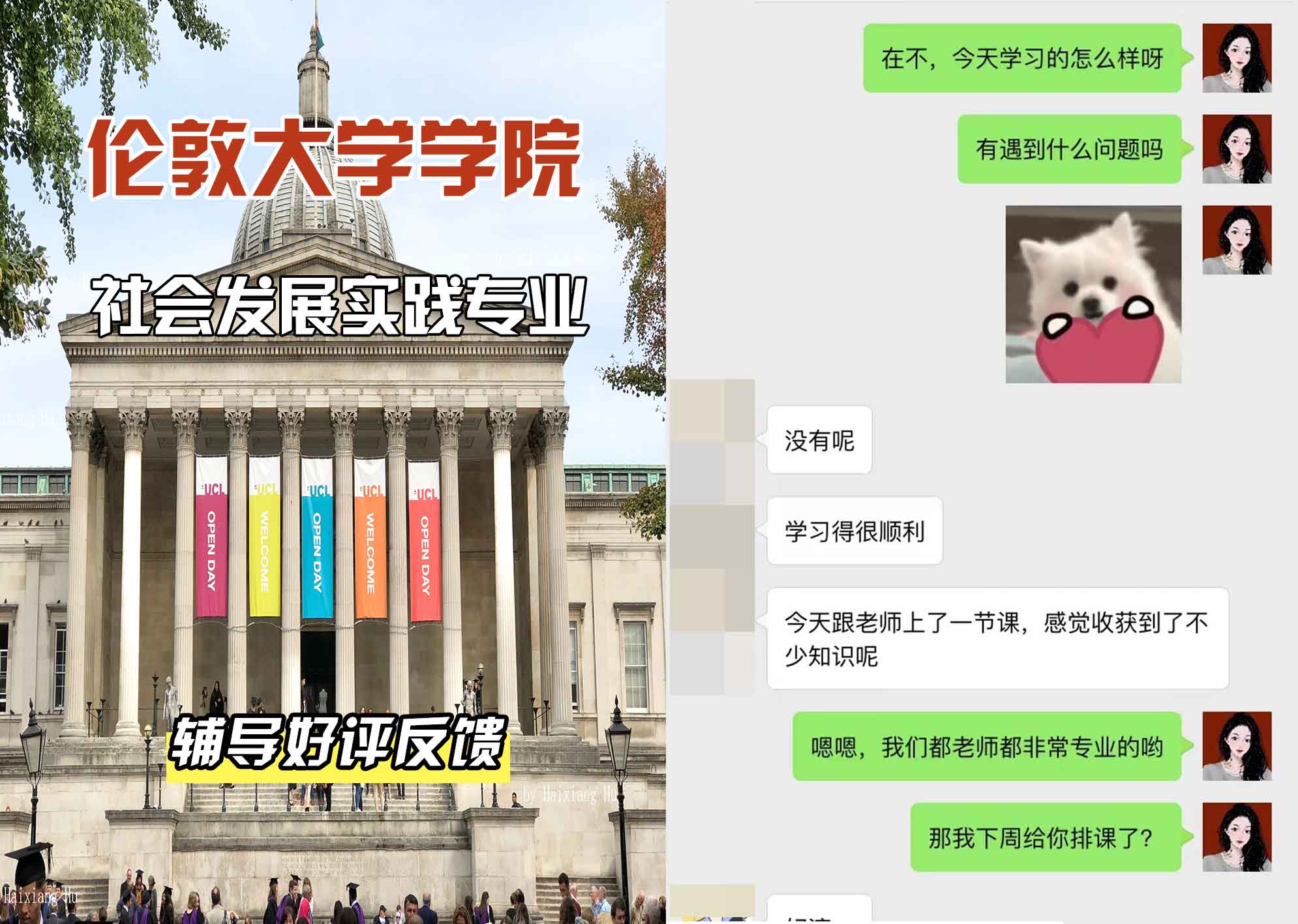 伦敦大学学院UCL社会发展实践辅导好评反馈