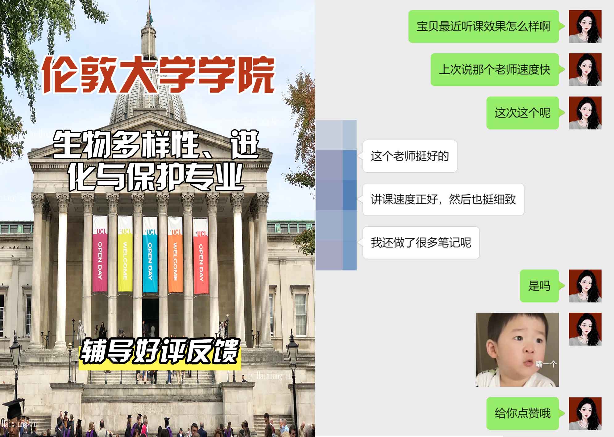 伦敦大学学院UCL生物多样性、进化与保护辅导好评反馈