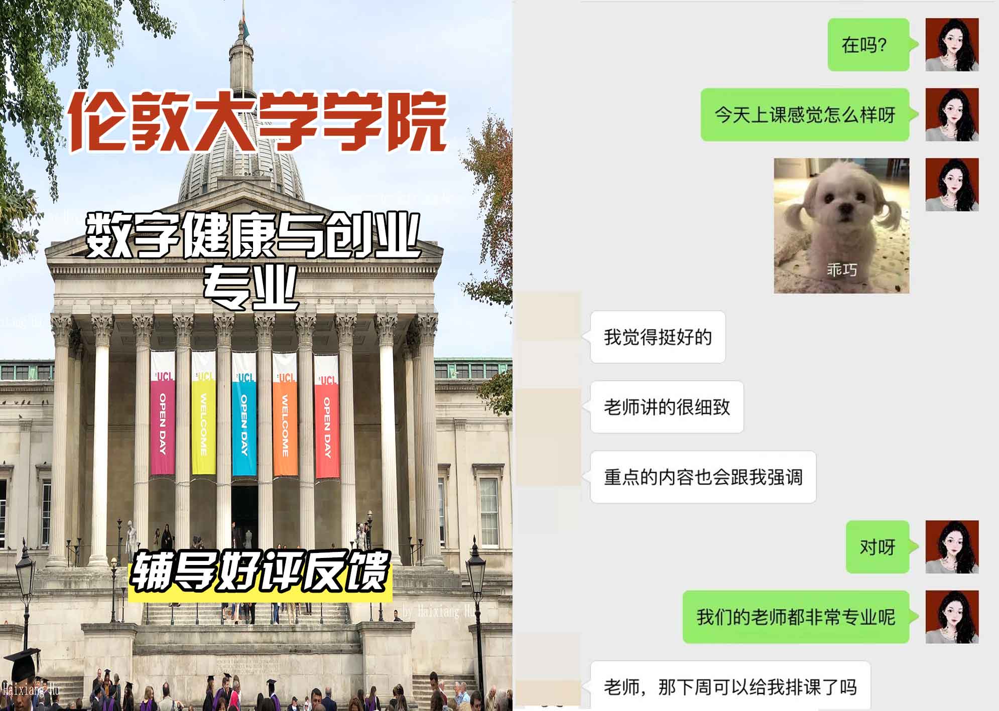 伦敦大学学院UCL数字健康与创业辅导好评反馈