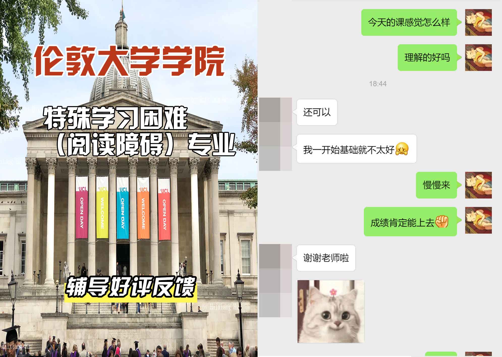 伦敦大学学院UCL特殊学习困难（阅读障碍）辅导好评反馈