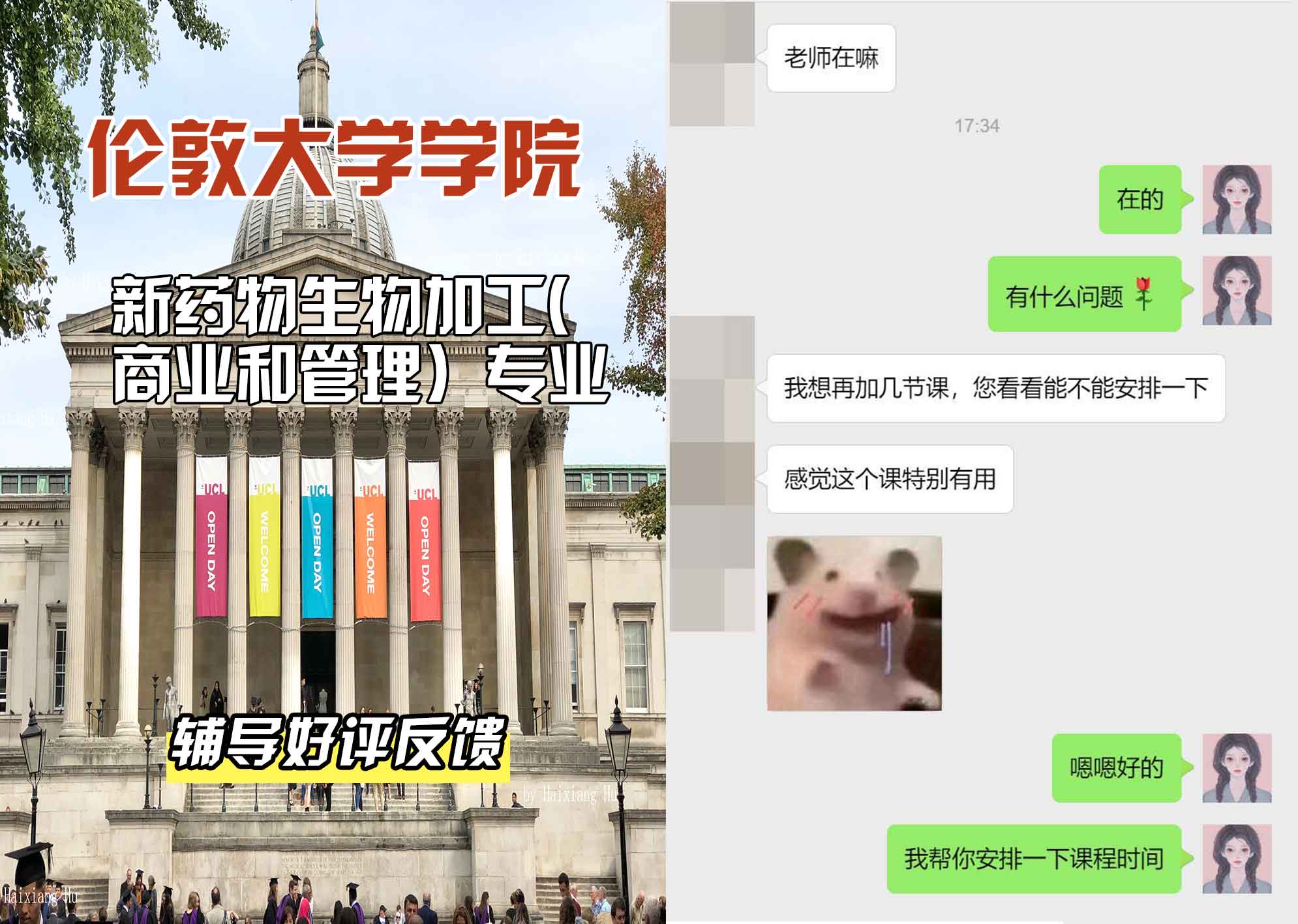 伦敦大学学院UCL新药物生物加工(商业和管理）辅导好评反馈