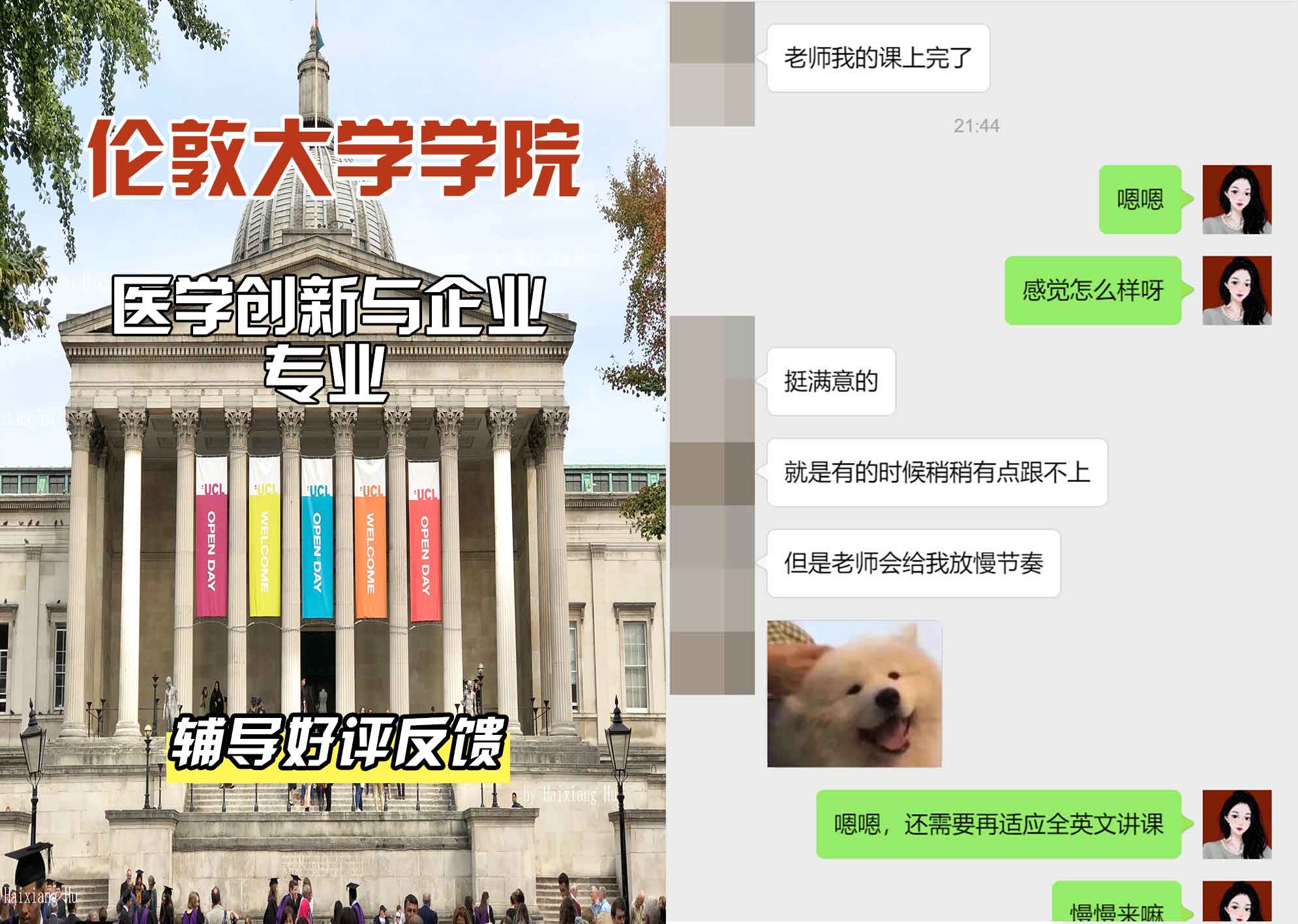伦敦大学学院UCL医学创新与企业辅导好评反馈