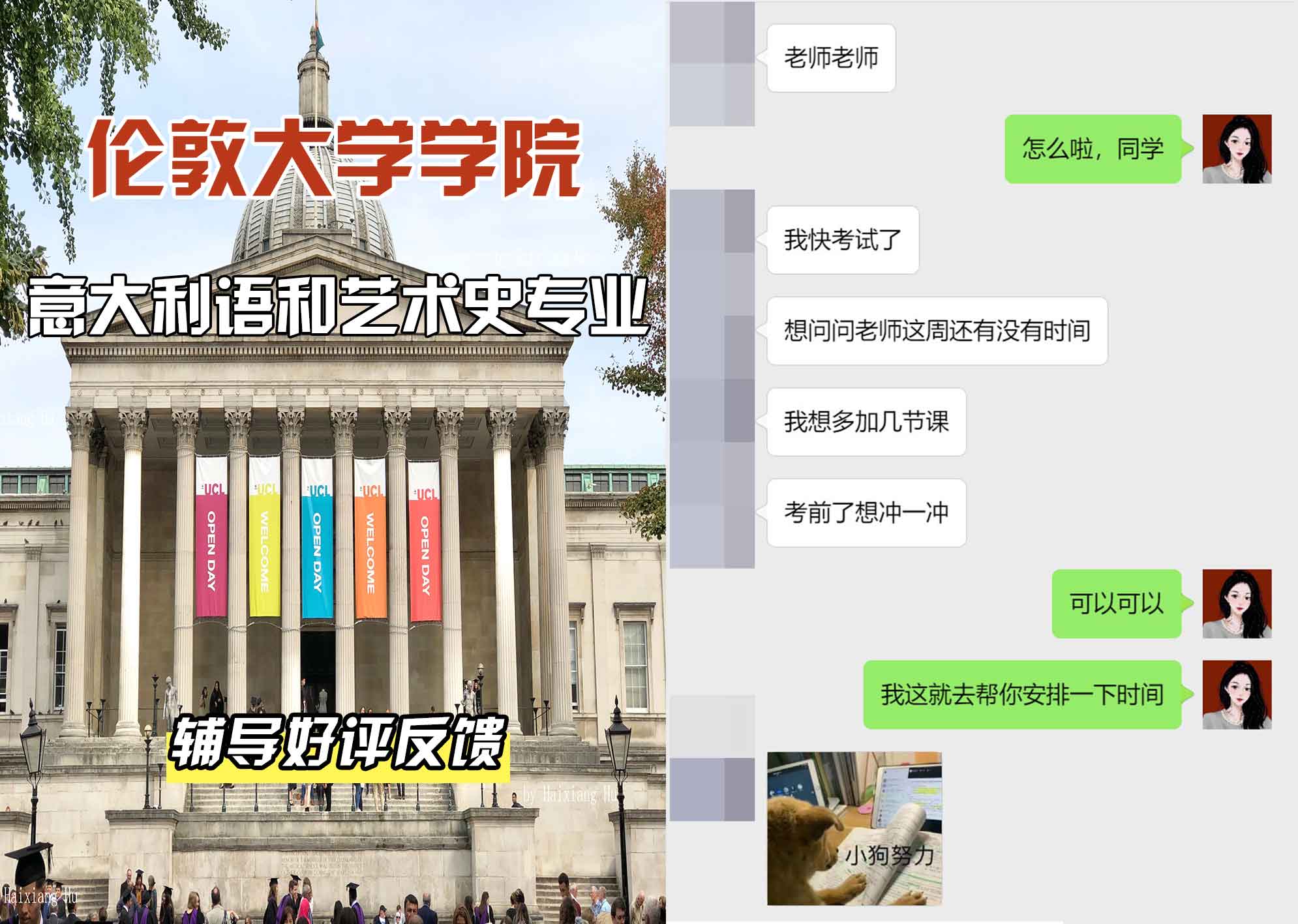 伦敦大学学院UCL意大利语和艺术史辅导好评反馈