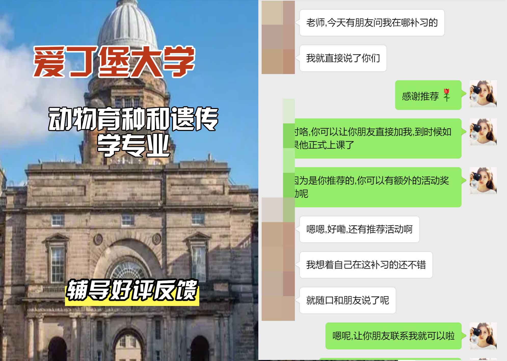 爱丁堡大学爱大动物育种和遗传学辅导好评反馈
