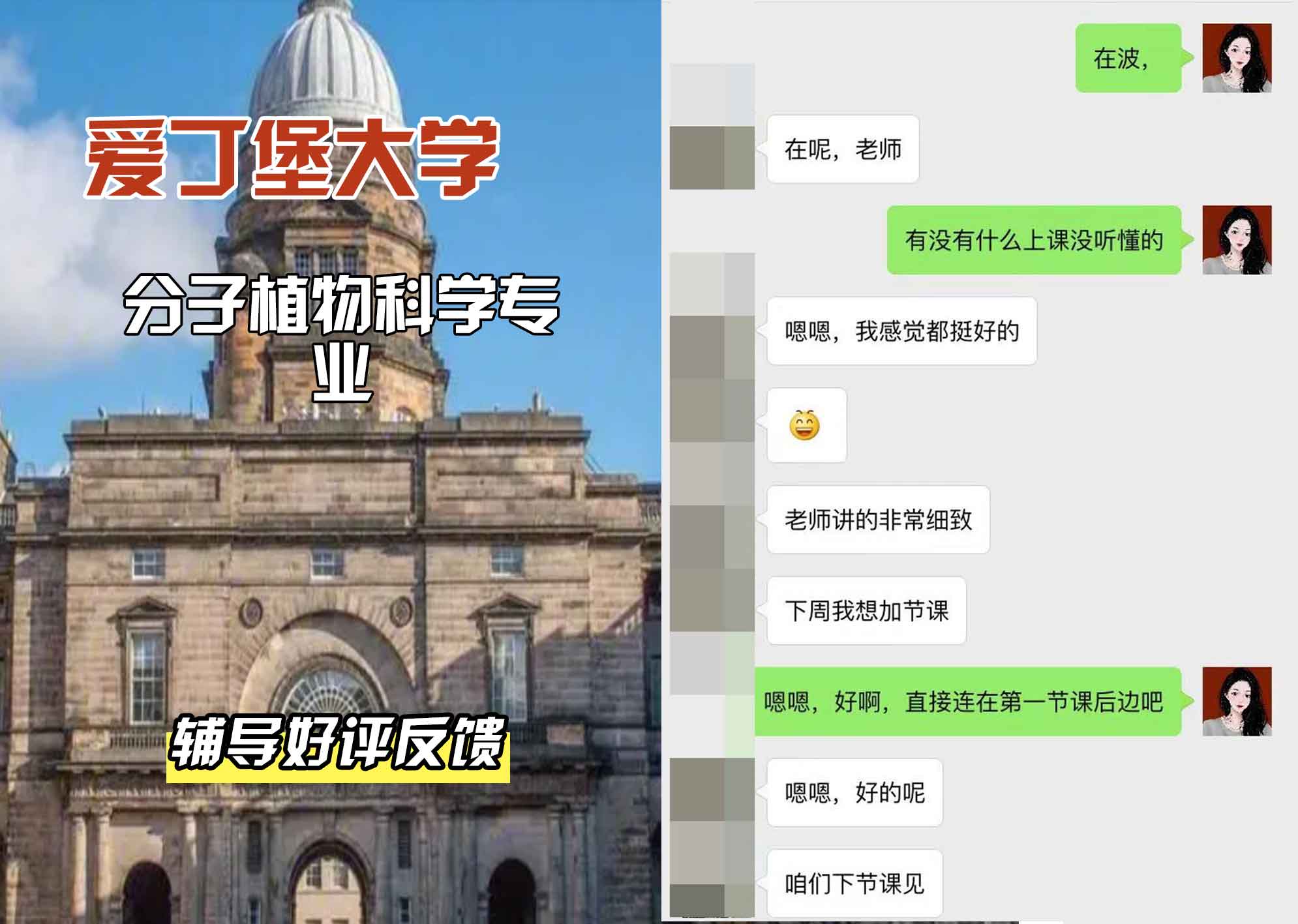 爱丁堡大学爱大分子植物科学辅导好评反馈