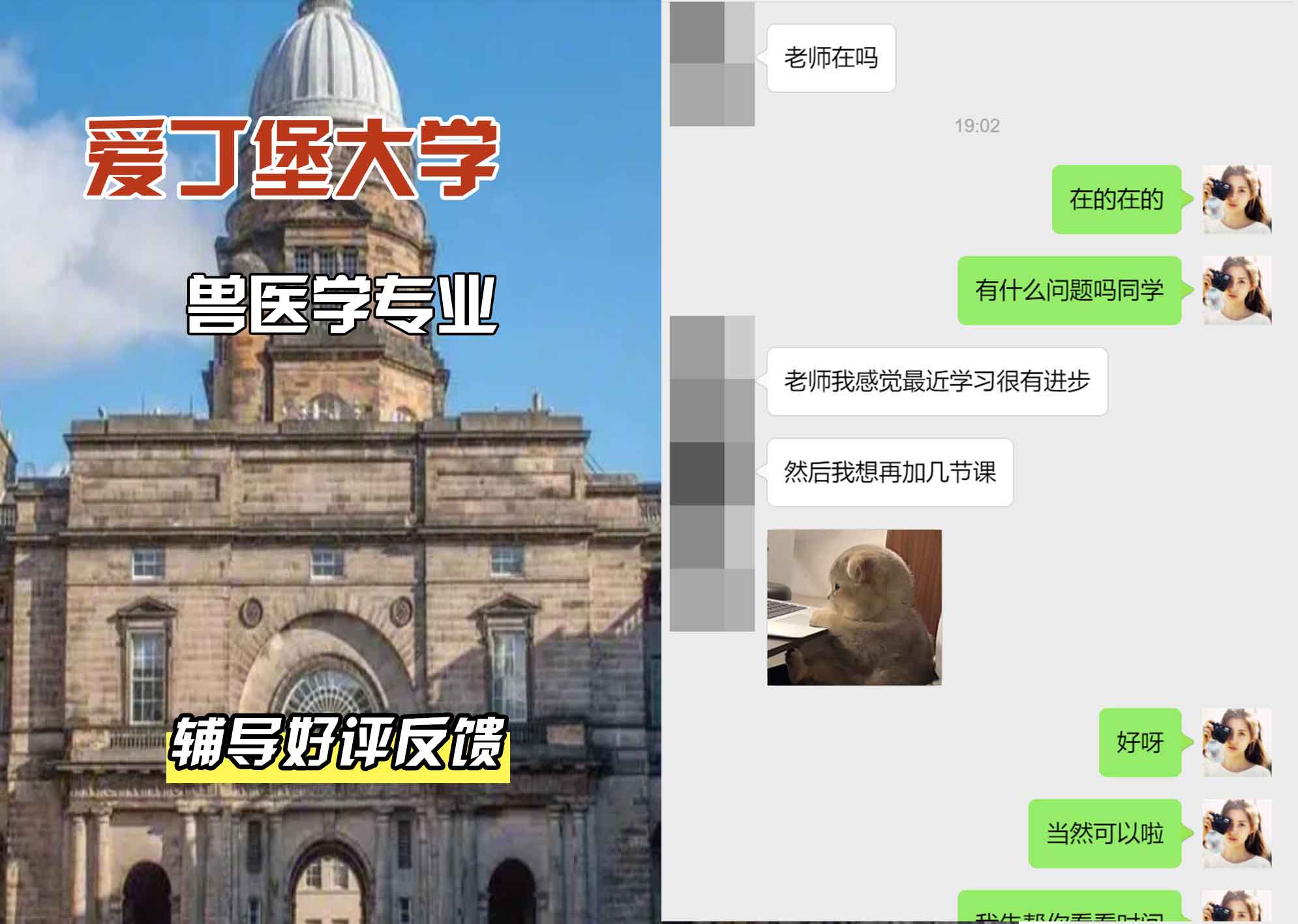 爱丁堡大学爱大兽医学辅导好评反馈