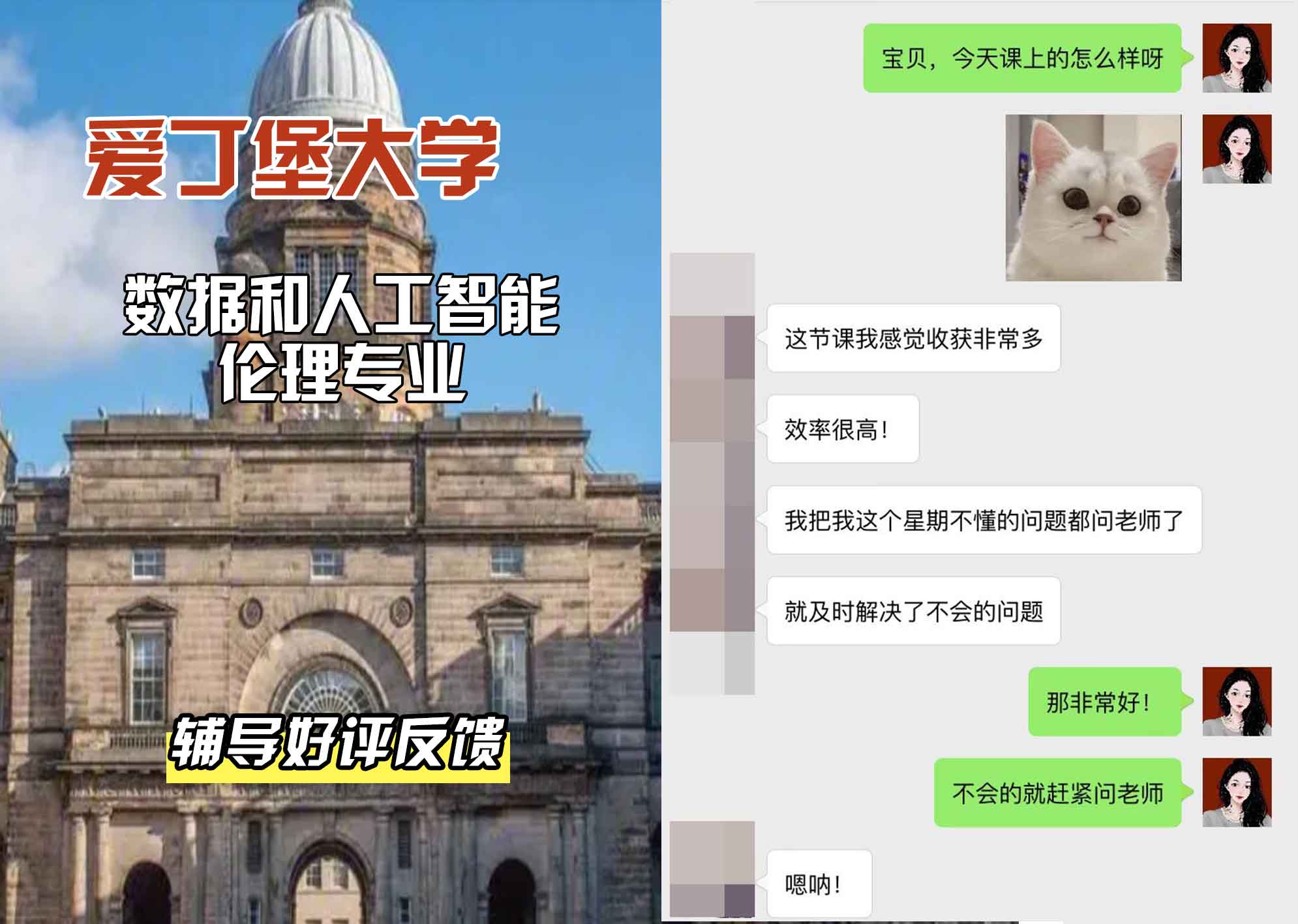 爱丁堡大学爱大数据和人工智能伦理辅导好评反馈