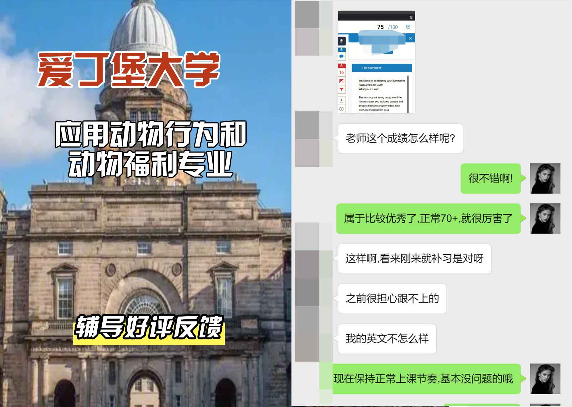 爱丁堡大学爱大应用动物行为和动物福利辅导好评反馈
