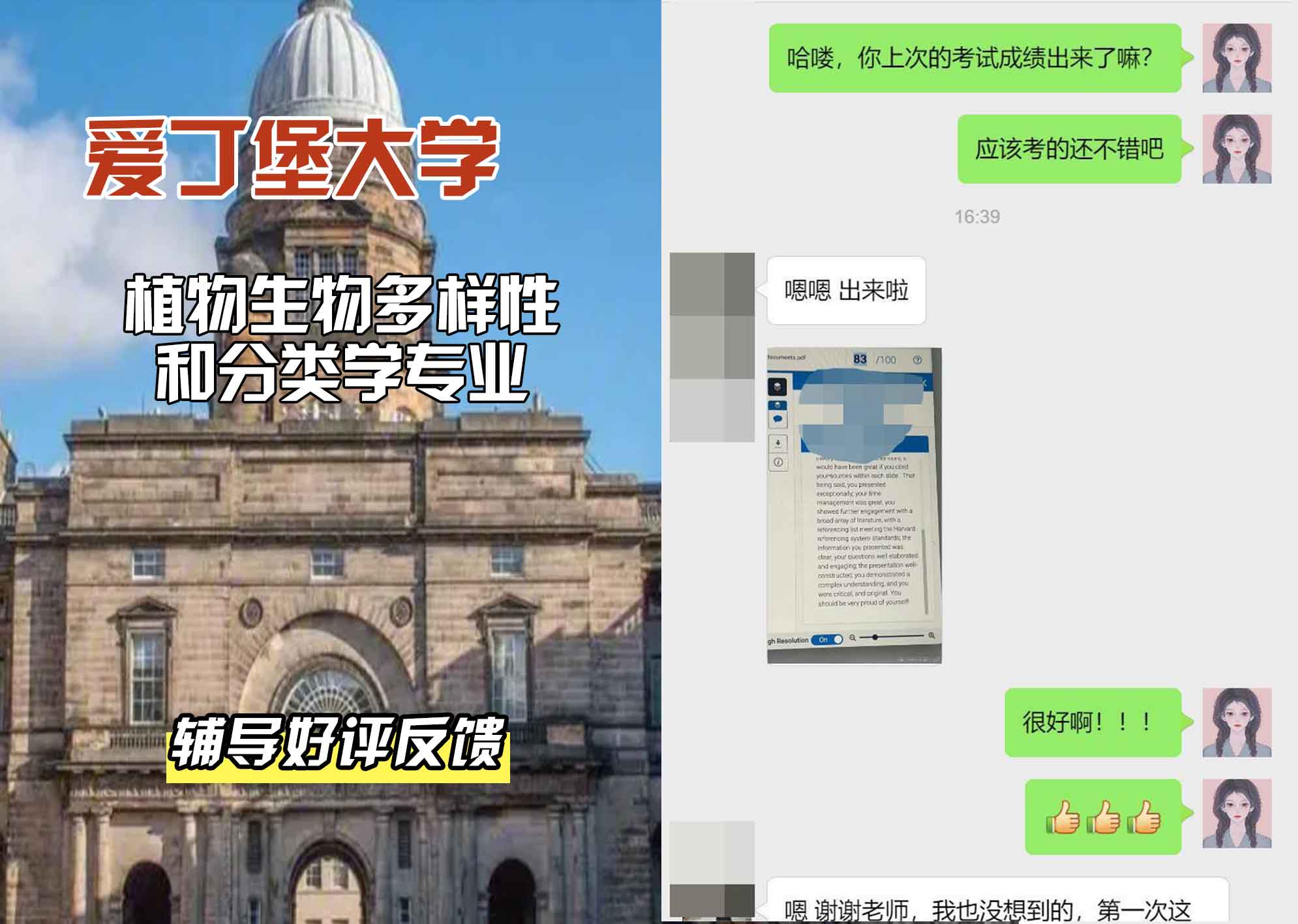爱丁堡大学爱大植物生物多样性和分类学辅导好评反馈