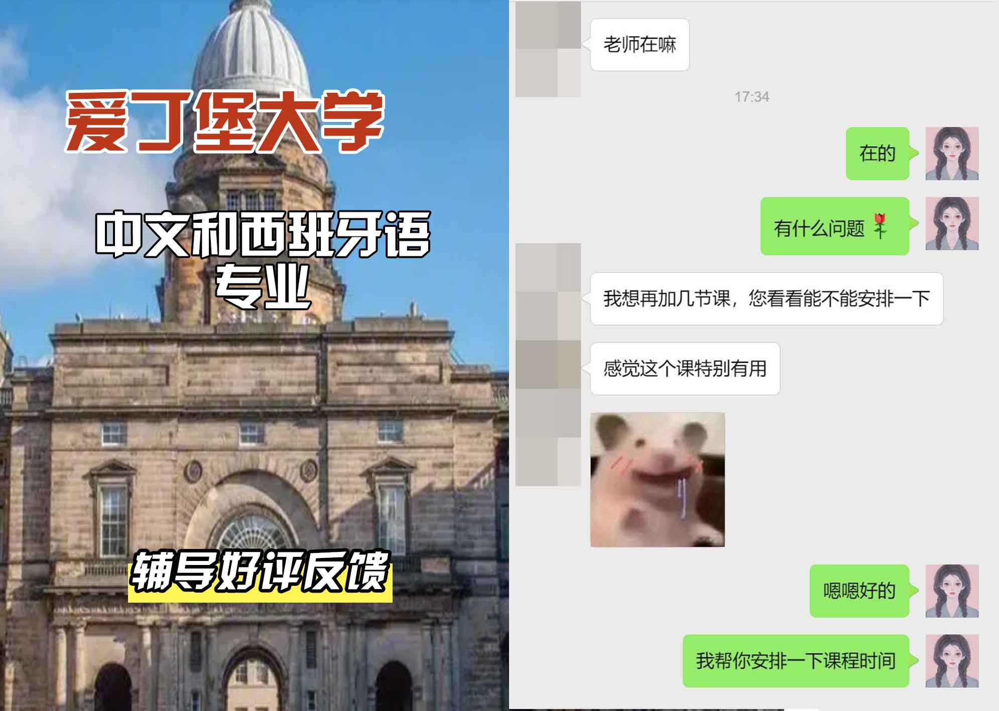 爱丁堡大学爱大中文和西班牙语辅导好评反馈