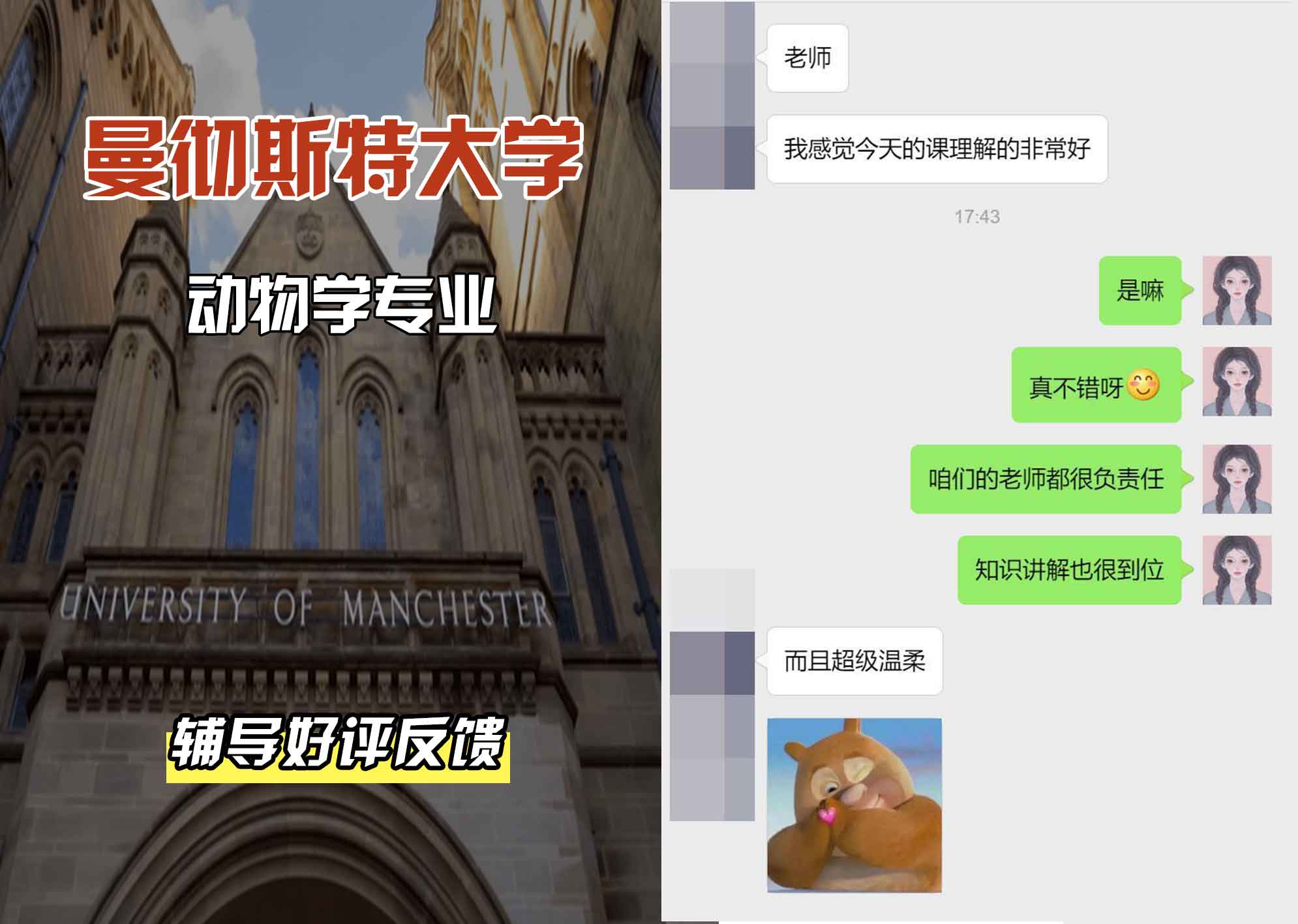 曼彻斯特大学曼大动物学辅导好评反馈