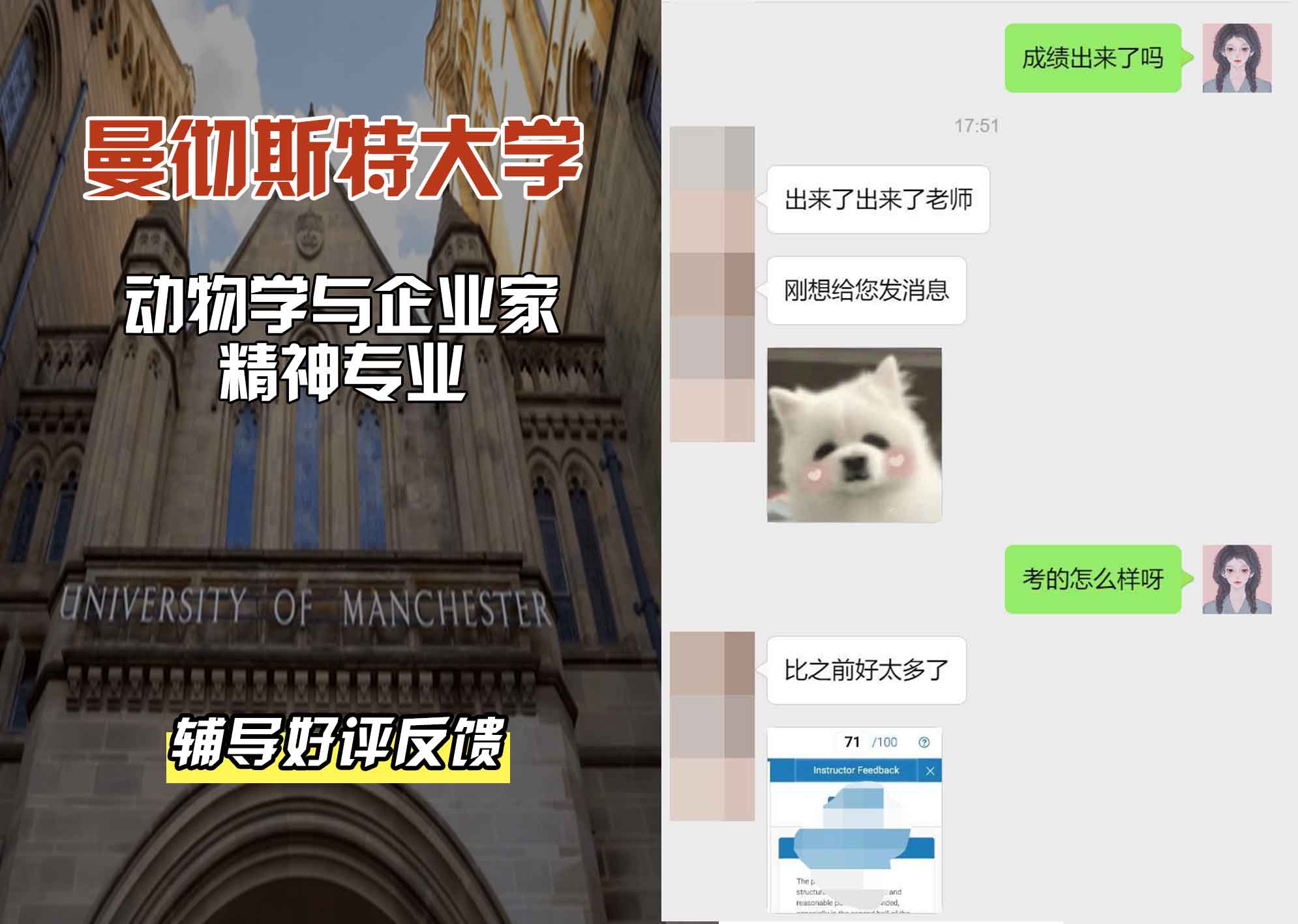 曼彻斯特大学曼大动物学与企业家精神辅导好评反馈