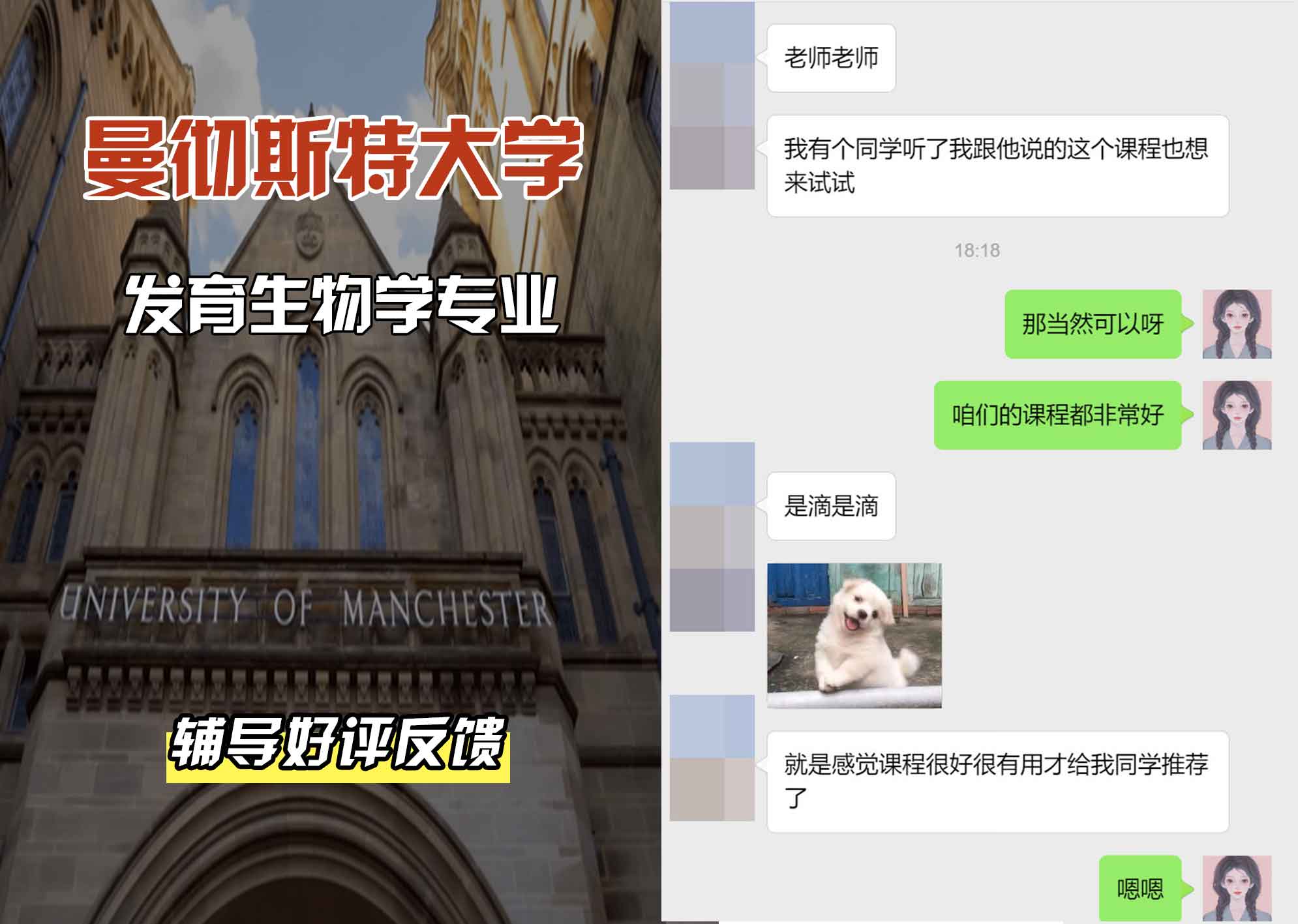 曼彻斯特大学曼大发育生物学辅导好评反馈