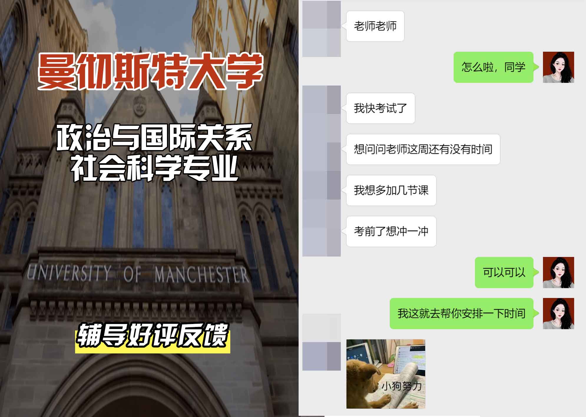 曼彻斯特大学曼大政治与国际关系社会科学辅导好评反馈